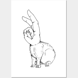 Hand Rabbit Posters and Art